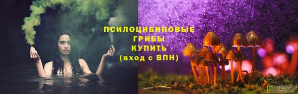 бошки Алексеевка