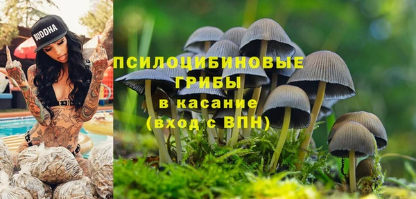 бошки Алексеевка