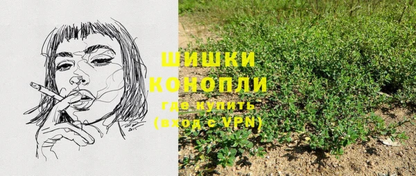 ПСИЛОЦИБИНОВЫЕ ГРИБЫ Алзамай