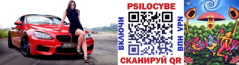 Псилоцибиновые грибы MAGIC MUSHROOMS как найти мега зеркало Закаменск